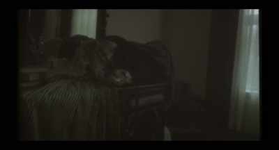 Why would you... - Hell House LLC Origins: The Carmichael Manor
