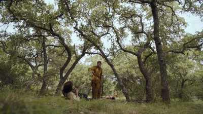 whyd-come-here - The Son