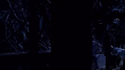 Why'd she do this to us? - Ghost Whisperer