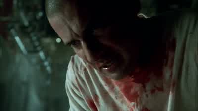 Why'd you do this? - Prison Break