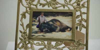 Wilbur was a big shell
guy, natural gas, so. - Maximum Truth