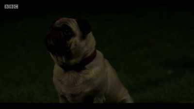 WILBUR WHIMPERS - The ABC Murders