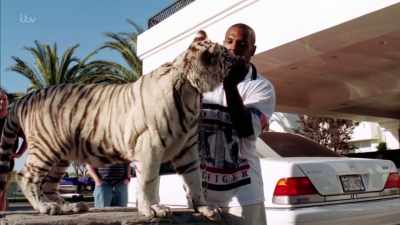 'Wild animals
were the ultimate status symbol - Britain's Tiger Kings - On the Trail with Ross Kemp