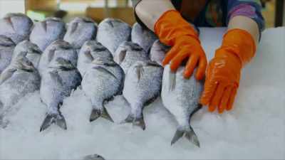 Wild-capture fisheries
have been flat - A Brief History of the Future