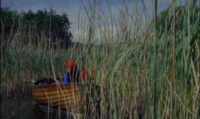 Wildcat Island
and the Amazons forever! - Swallows and Amazons