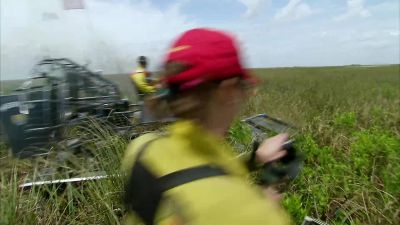 WILDFIRES,
ESPECIALLY ON WINDY DAYS, - Dirty Jobs