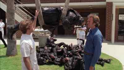 - Will you be able to get this stuff off?
- Sure. We'll just peel them like bananas. - Any Which Way You Can