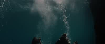 Will you be saving her thenI can't swimPride of the king's Navy you are Do not lose these - Pirates of the Caribbean: The Curse of the Black Pearl