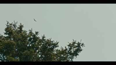 -...will be wiped away.
-[eagle cries] - Billy the Kid