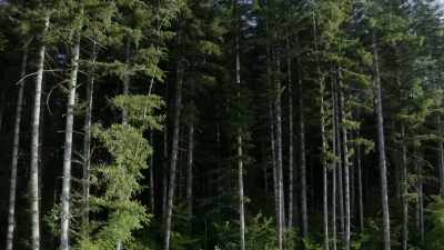  Will it cause something
 to get agitated? - Expedition Bigfoot