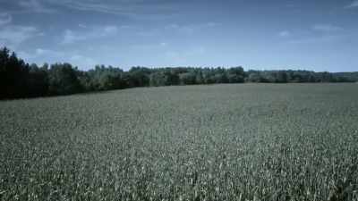 Will come to symbolize the
hellish intensity of antietam. - Blood and Fury: America's Civil War