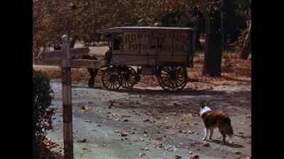 Will you come up and sit beside me,
Your Majesty? - Lassie Come Home