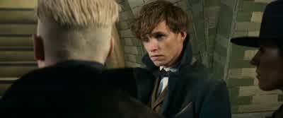 Will we die just a little - Fantastic Beasts and Where to Find Them
