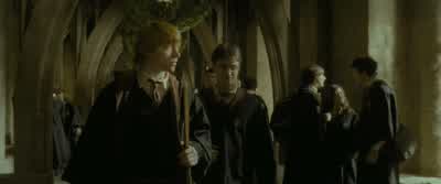 Will it last? - Harry Potter and the Half Blood Prince