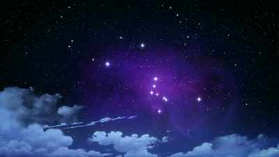 Will you look at those beauties? - Unicorn Academy