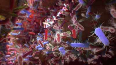 Will this process
of neurostimulation - Human: The World Within
