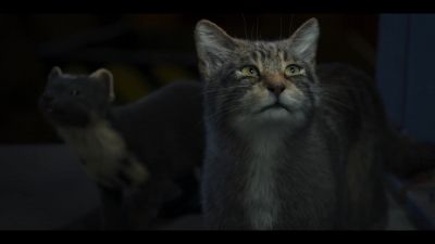 Will. - His Dark Materials