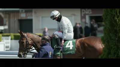Will we see a
horse stake a claim - Horsepower