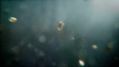 WILL SMITH:
Solid, liquid, gas. - One Strange Rock