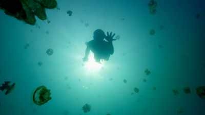 WILL SMITH: These jellyfish
have found a way to capture - One Strange Rock