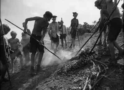 Will it swell up his legs? - Lord of the Flies