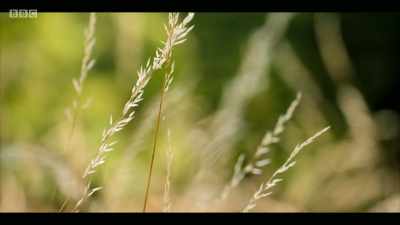 Will we take the opportunity,
finally, to change our course? - Extinction: The Facts