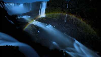 WILL: The ocean has twilight, too. - Welcome to Earth