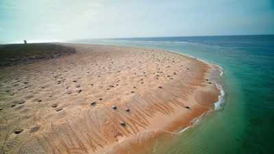 WILL: The turtles are born here
and they lay their eggs here. - Welcome to Earth