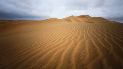 WILL: The whole desert is in motion
right under our feet. - Welcome to Earth