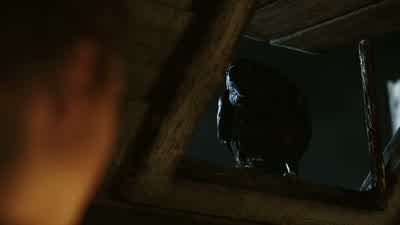 Will you fight alongside me? - Vikings