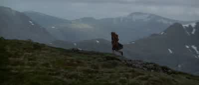William Wallace killed 50 men. - Braveheart