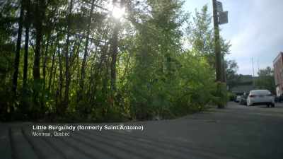 (williams):
There's an empty lot here.
By the 1950s, - Black Life: Untold Stories