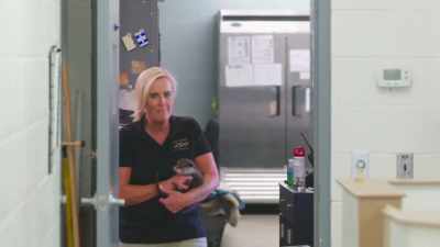 Willie and marley would maybe
feel a little bit better - Secrets of the Zoo