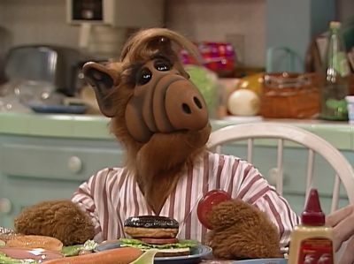    (Willie)
   'You wanna explain this?' - ALF