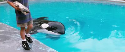 Willy and I got didn't get off to a very good start - Free Willy