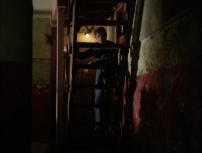 WILLY,
I KNOW YOU'RE DOWN HERE. - Hawaii Five-0