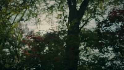 (wind blowing, birds chirping) - Allen v. Farrow