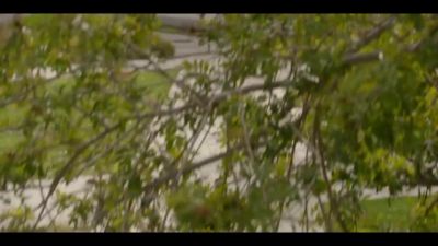 [WIND BLOWING] - All American