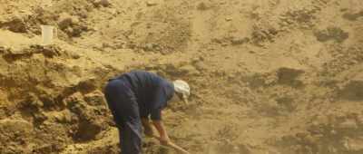 [wind blowing] - Secrets of the Saqqara Tomb