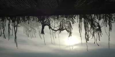 [wind blowing] - The Chosen