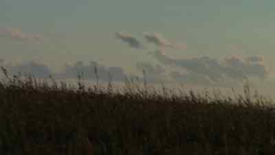 (wind blowing) - Poldark