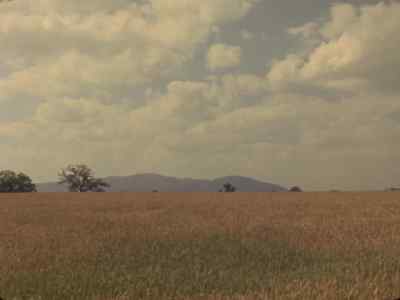 [WIND BLOWING] - Penda's Fen