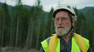 (wind blowing) - Trees and Other Entanglements