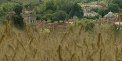 [Wind blowing, wheat rustling,
birds chirping] - The Midwich Cuckoos