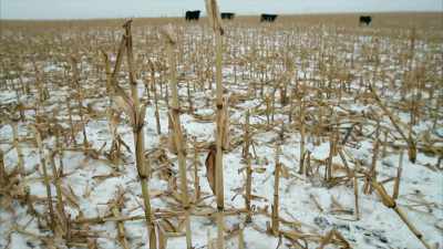 [wind buffeting] - Food and Country