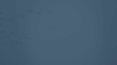 [wind gusting] - Haulout