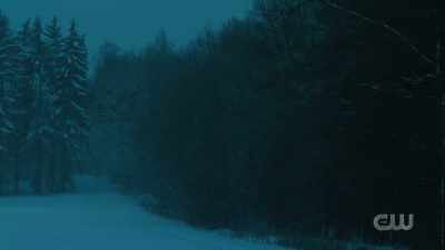 - [wind gusting] - The Waltons' Homecoming