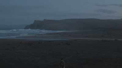 [wind gusting] [sea roaring] - Haulout