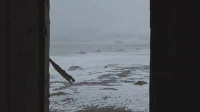 [wind gusts] - Haulout
