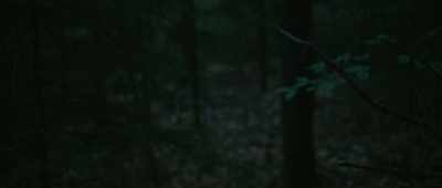 [wind howling] - Lost on a Mountain in Maine